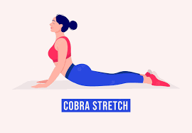 Cobra Stretch