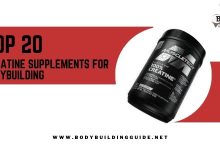 Top 20 Creatine Supplements Brands for Bodybuilding
